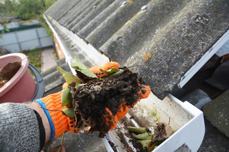 Clogged Gutter Clearing in Annapolis, MD