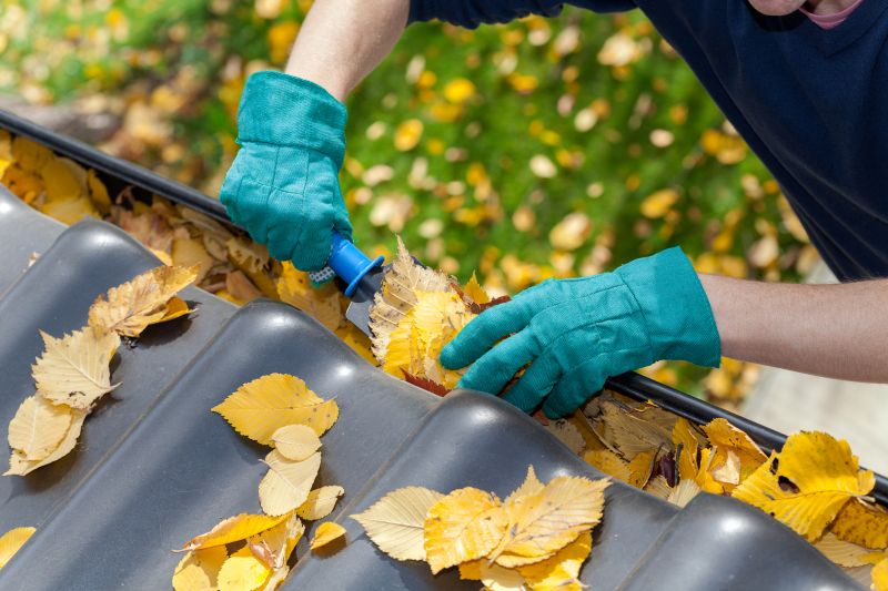 Commercial Gutter Unclogging in Roseville, CA