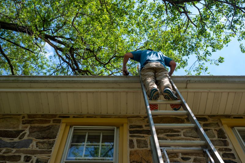 Ladder Access for Commercial Gutter Maintenance