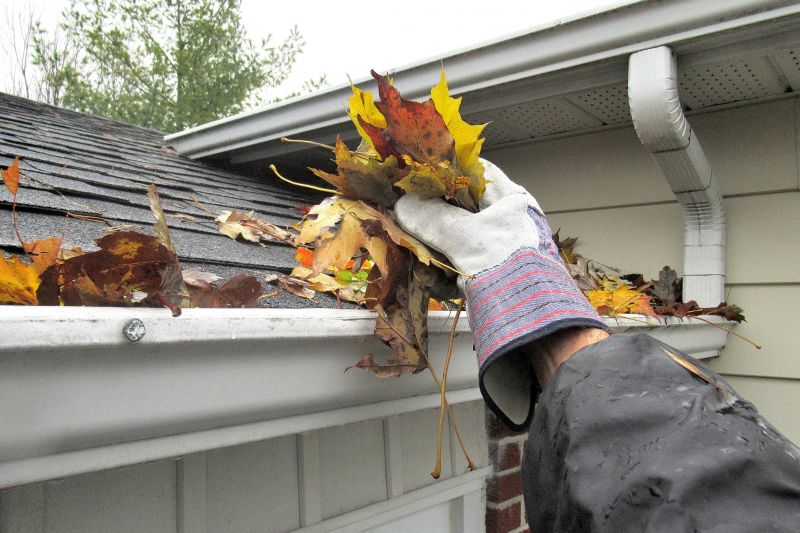 Inside Gutter Inspection