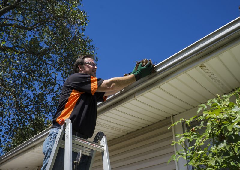Gutter Inspecting