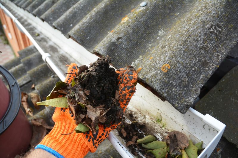 Gutter Maintenance in Arvada, CO
