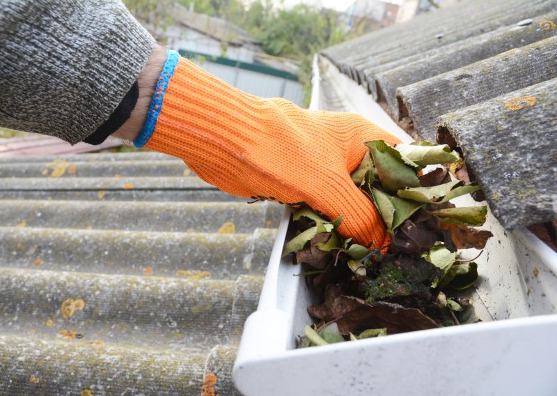 Commercial Gutter Maintenance in Mcdonough, GA